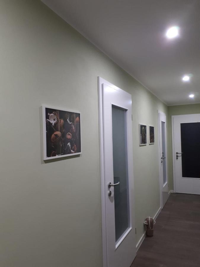 Ferienwohnung Rotbuche Tannenberg Extérieur photo